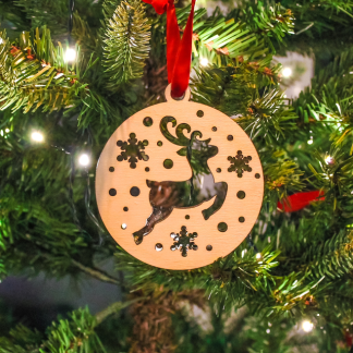 Something Kinda Reindeer Christmas Decoration - Image 1